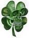Irishbeast
