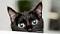harry449's Avatar